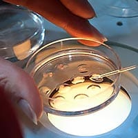 lab 01 min lab 01 min