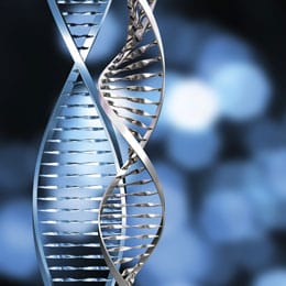 dna dna