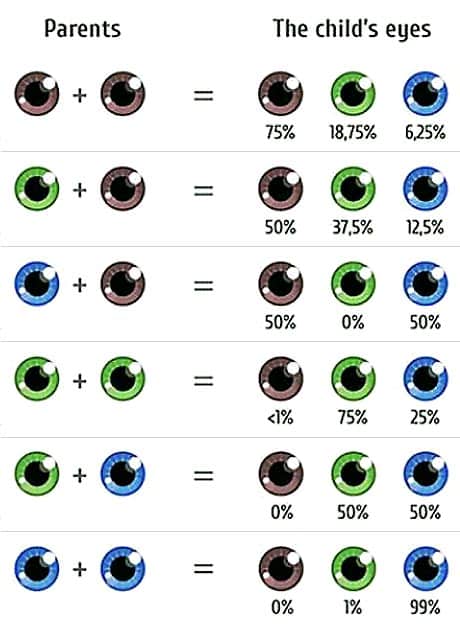 eye color chart 03 eye color chart 03