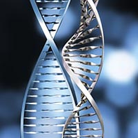 dna min dna min